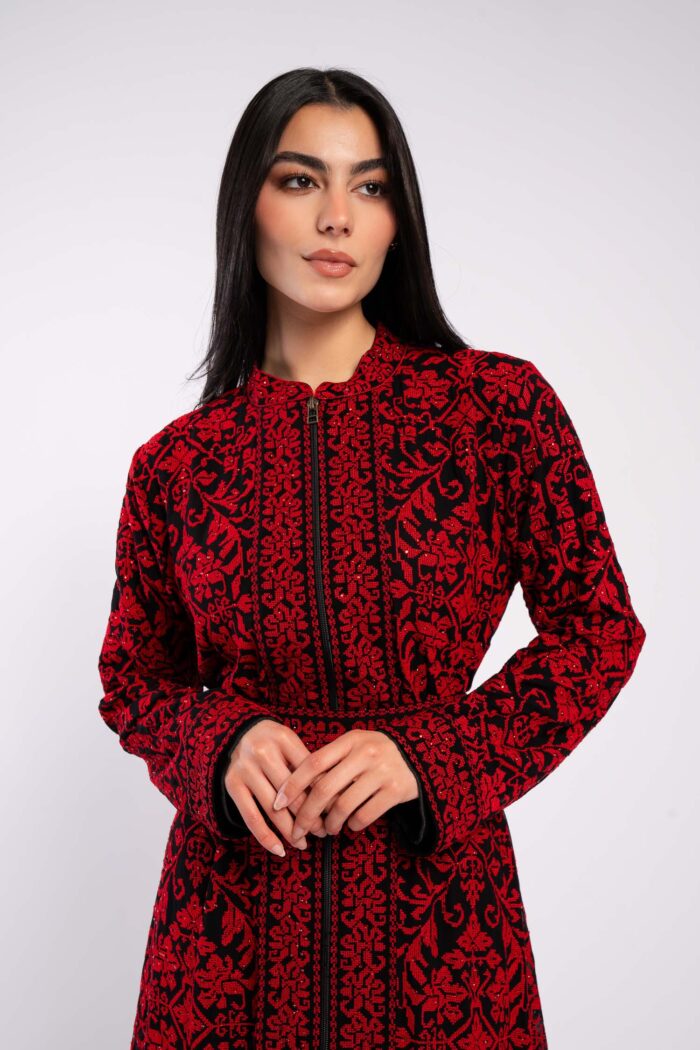 Fully embroidered palestinian dress - Image 1